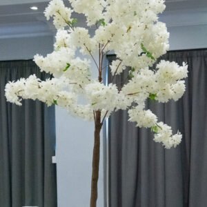 Blossom Tree Wedding