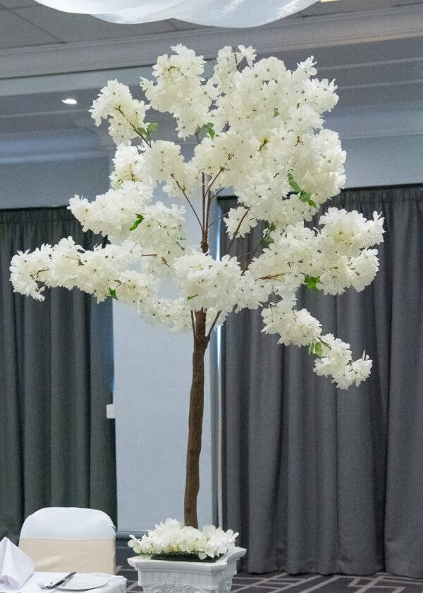 Blossom Tree Wedding